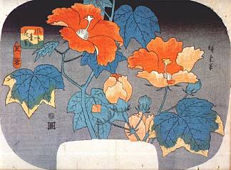 芙蓉 Hibiscus (c.1845)，歌川广重