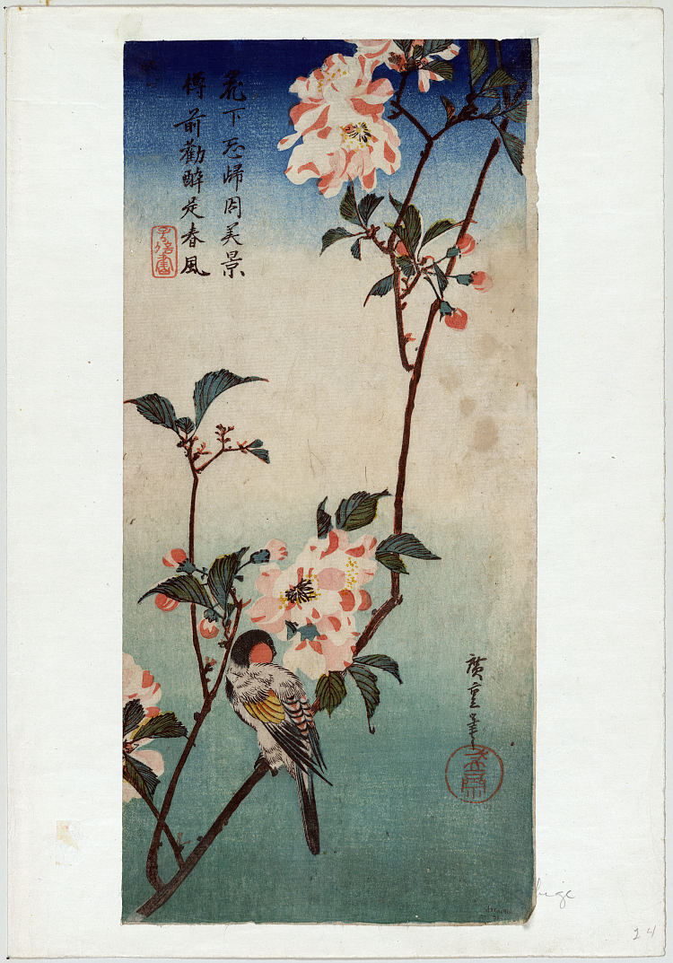 海豆樱树枝上的小鸟 Small Bird on a Branch of Kaidozakura (1833 - 1838)，歌川广重