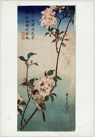 海豆樱树枝上的小鸟 Small Bird on a Branch of Kaidozakura (1833 – 1838)，歌川广重