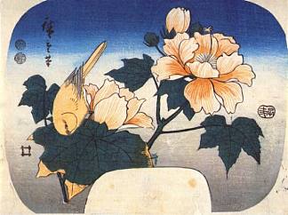 黄鸟和棉花玫瑰 Yellow bird and cotton rose (1852)，歌川广重