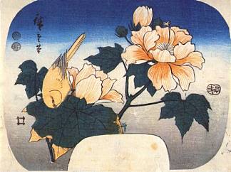 黄鸟和棉花玫瑰 Yellow bird and cotton rose (1852)，歌川广重