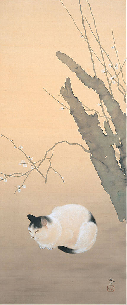 猫和梅花 Cat and Plum Blossoms (1906)，菱田春草