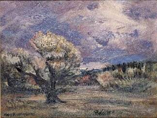 粉红灌木丛 Pink Bush (1906)，荷马沃森