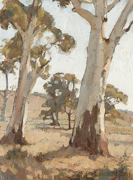 书房， 胶树， 伍德赛德 Study, Gum Trees, Woodside (1926)，霍勒斯·特雷纳里