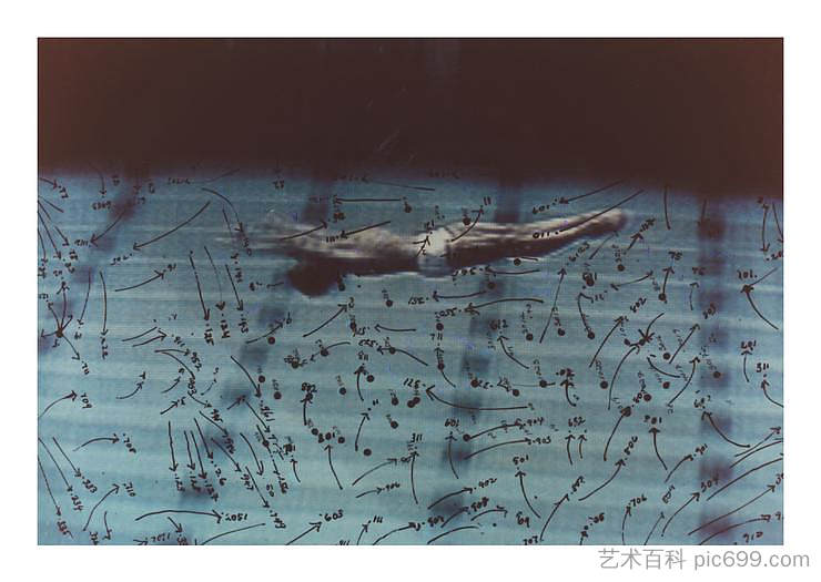 视频绘图：游泳 Video Drawings: Swimming (1975)，霍瓦尔德纳·平德尔