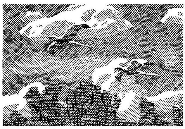 叶夫亨·古萨尔(Yevhen Gutsal)短篇小说集《在鹳村》的插图 Illustration for the collection of short stories by Yevhen Gutsal "In the stork village" (1969),赫里霍里·哈夫里连科