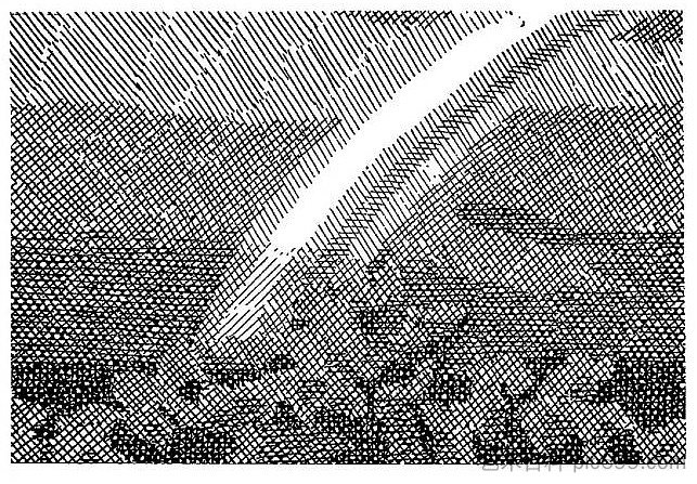 叶夫亨·古萨尔(Yevhen Gutsal)短篇小说集《在鹳村》的插图 Illustration for the collection of short stories by Yevhen Gutsal "In the stork village" (1969),赫里霍里·哈夫里连科