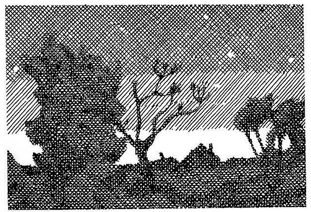 叶夫亨·古萨尔(Yevhen Gutsal)短篇小说集《在鹳村》的插图 Illustration for the collection of short stories by Yevhen Gutsal "In the stork village" (1969),赫里霍里·哈夫里连科