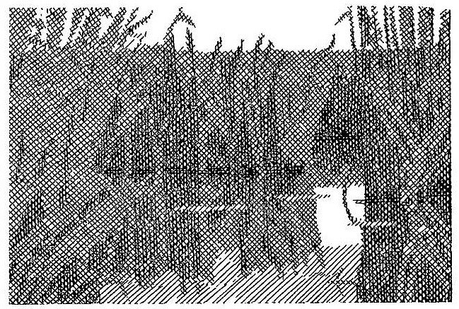 叶夫亨·古萨尔（Yevhen Gutsal）短篇小说集《在鹳村》的插图 Illustration for the collection of short stories by Yevhen Gutsal "In the stork village" (1969)，赫里霍里·哈夫里连科