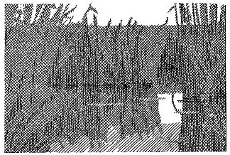 叶夫亨·古萨尔（Yevhen Gutsal）短篇小说集《在鹳村》的插图 Illustration for the collection of short stories by Yevhen Gutsal “In the stork village” (1969)，赫里霍里·哈夫里连科