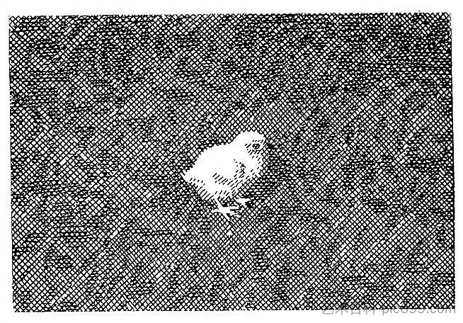 叶夫亨·古萨尔(Yevhen Gutsal)短篇小说集《在鹳村》的插图 Illustration for the collection of short stories by Yevhen Gutsal "In the stork village" (1969),赫里霍里·哈夫里连科