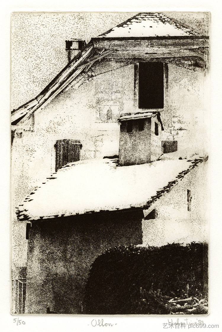 瑞士奥隆村的屋顶，瑞士沃州 Rooftops in the Swiss village Ollon, canton Vaud, Switzerland (1981)，胡伯廷海耶曼