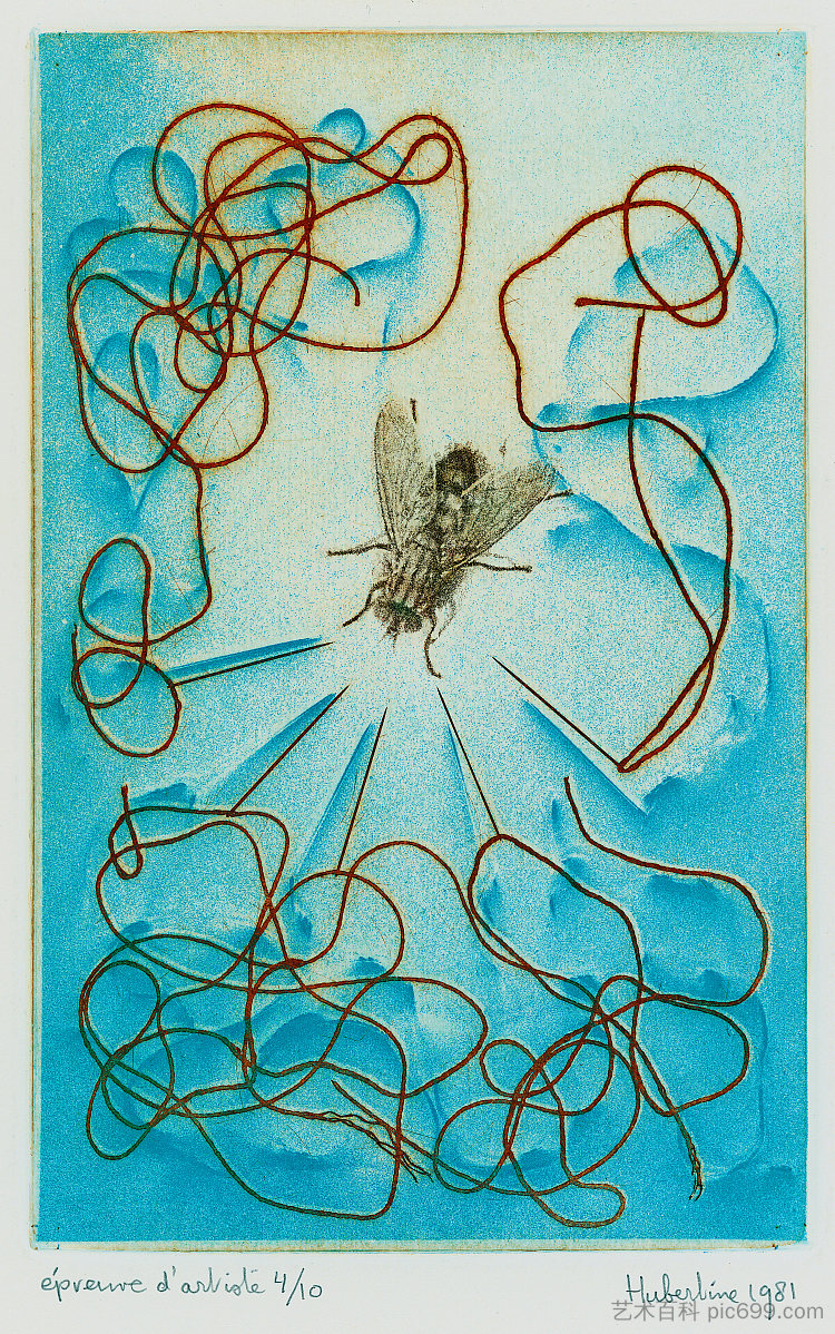 被困在 2 个感光板上的苍蝇 Trapped fly on 2 light-sensitive plates (1981),胡伯廷海耶曼