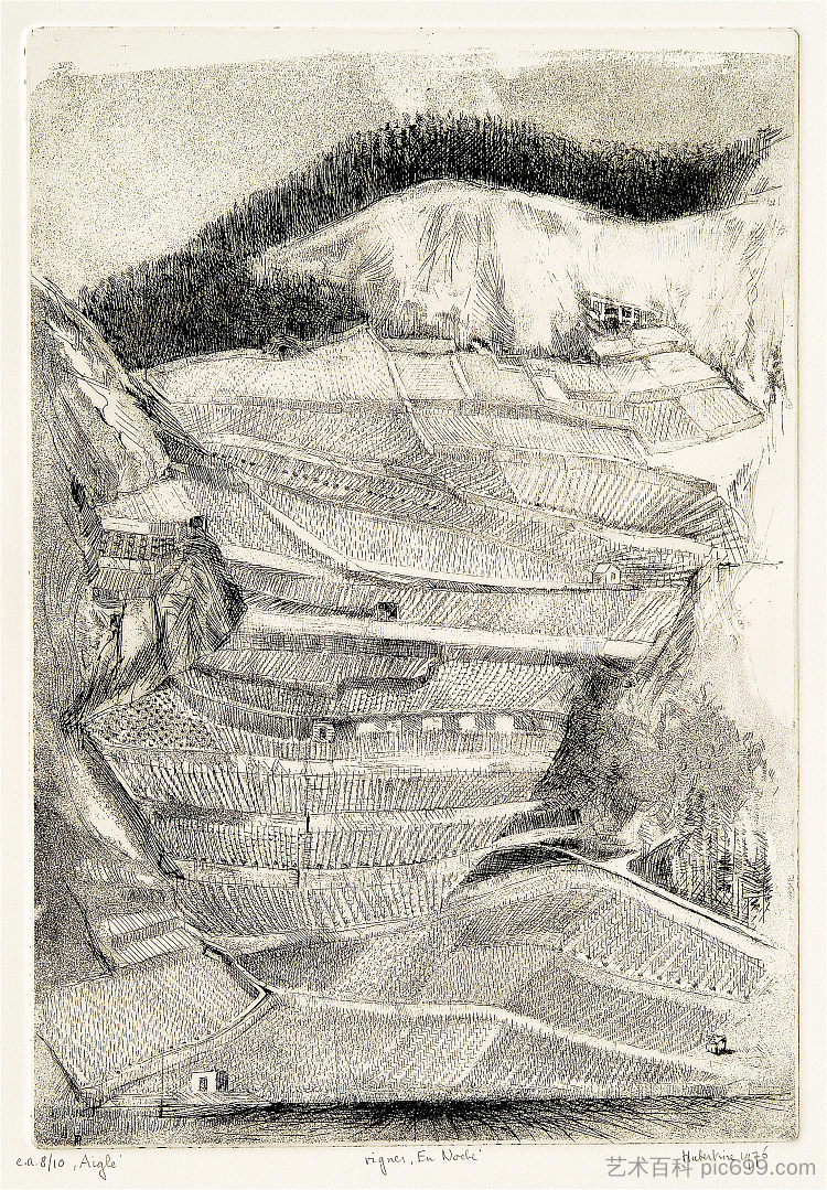 名为恩诺什的葡萄藤院子 Vine-yards called En Noche (1976; Switzerland ),胡伯廷海耶曼