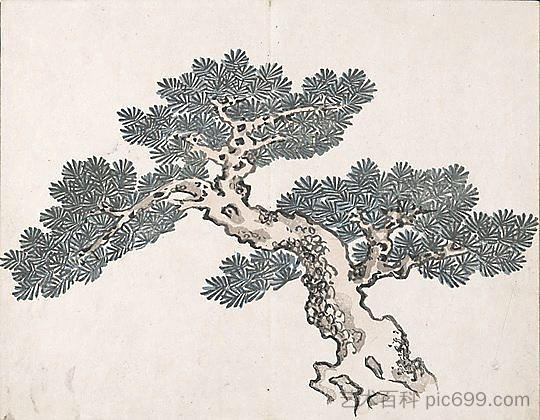 无题（一棵树） Untitled (a tree)，池大雅