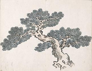 无题（一棵树） Untitled (a tree)，池大雅