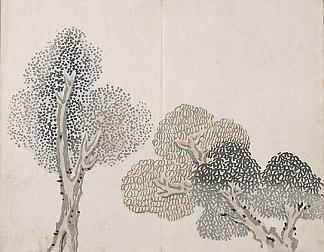 无题（一棵长着小叶子的树） Untitled (a tree with small leaves)，池大雅