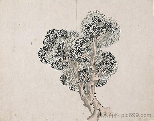 无题（没有叶子的树） Untitled (a tree without leaves)，池大雅