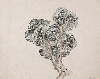 无题（没有叶子的树） Untitled (a tree without leaves)，池大雅