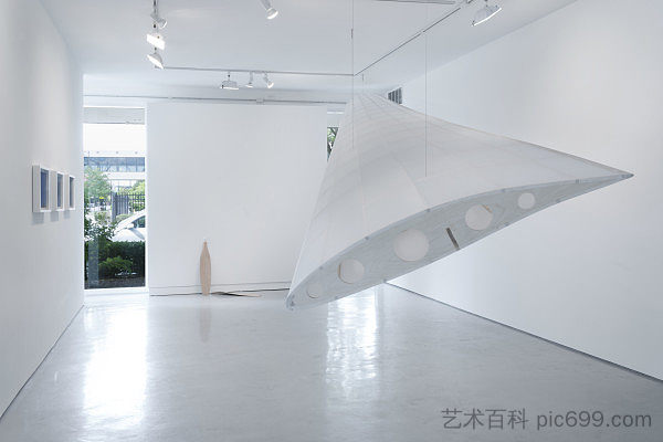 无人机机翼 Drone Wing (2013)，伊尼戈·曼格拉诺-奥瓦莱