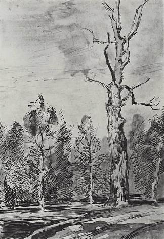 路边的一棵干树 A dry tree by the road (c.1895; Russian Federation                     )，列维坦