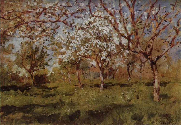 开花的苹果树 Apple trees in blossom (1896; Russian Federation  )，列维坦