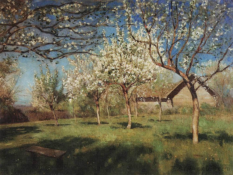 开花的苹果树 Apple trees in blossom (1896; Russian Federation  )，列维坦