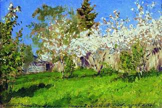 开花的苹果树 Apple trees in blossom (1896; Russian Federation                     )，列维坦