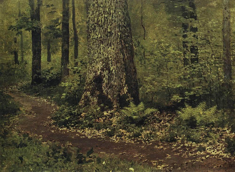 森林里的人行道。蕨 类 植物。 Footpath in a Forest. Ferns. (c.1895; Russian Federation  )，列维坦