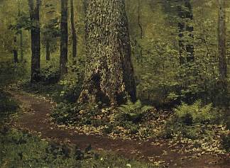 森林里的人行道。蕨 类 植物。 Footpath in a Forest. Ferns. (c.1895; Russian Federation                     )，列维坦