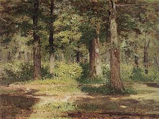 森林。晴天。 Forest. Sunny Day. (c.1884; Russian Federation                     )，列维坦