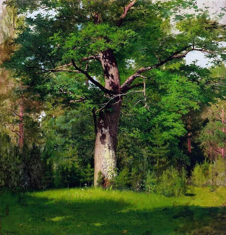 橡 木 Oak (1880; Russian Federation  )，列维坦