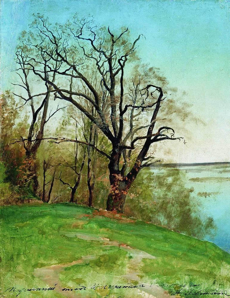 河岸上的橡树 Oak on the riverbank (1887; Russian Federation  )，列维坦