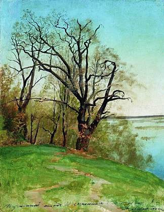 河岸上的橡树 Oak on the riverbank (1887; Russian Federation                     )，列维坦