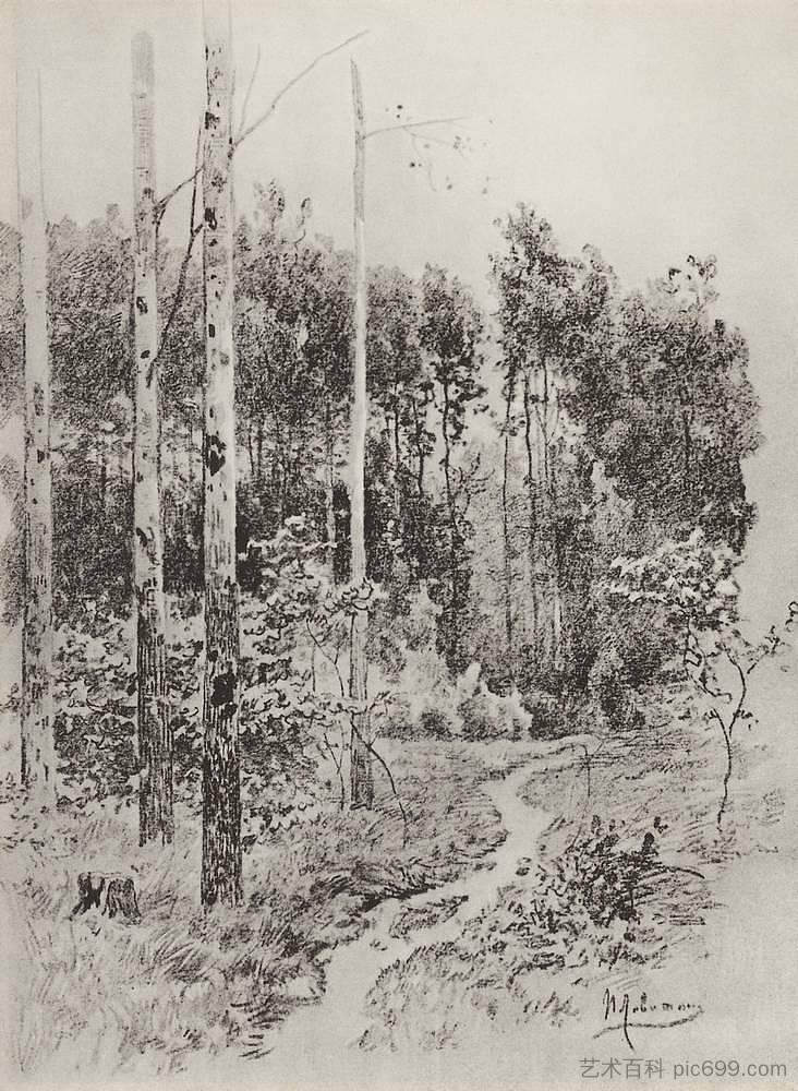 森林中的小径 Path in the forest (1884; Russian Federation  )，列维坦