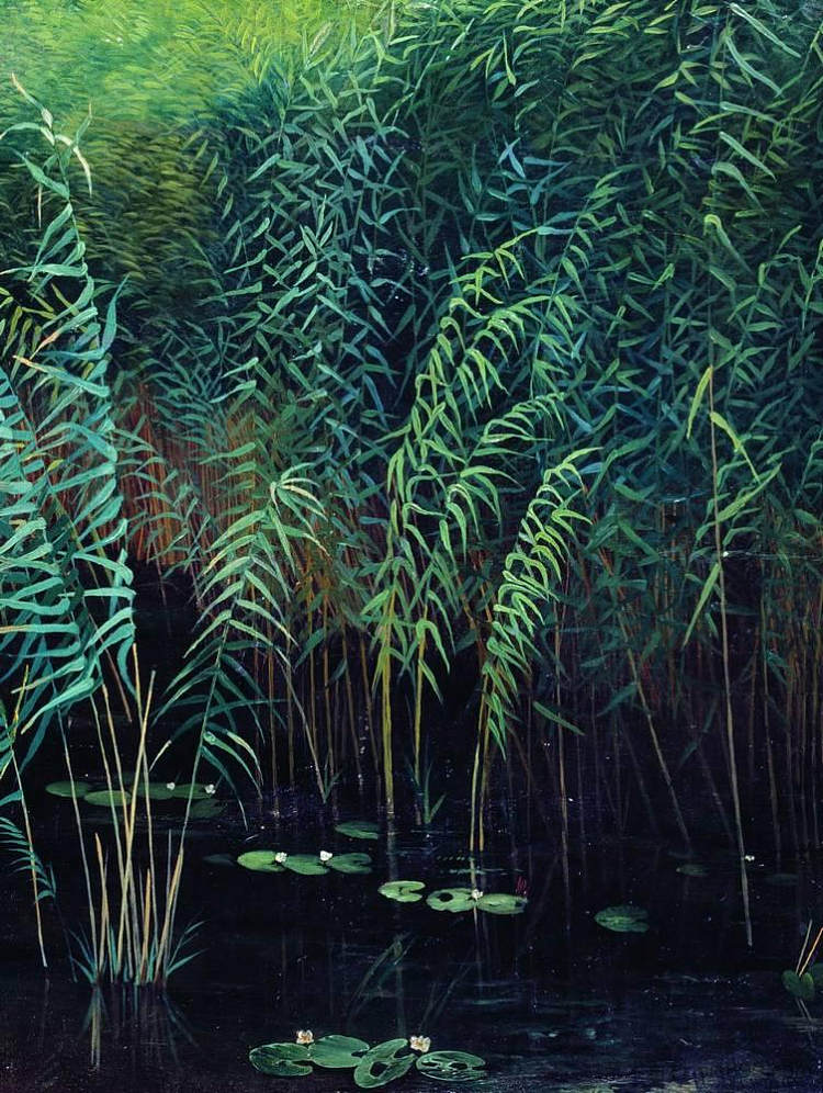 芦苇和睡莲 Reeds and water lilies (1889; Russian Federation  )，列维坦