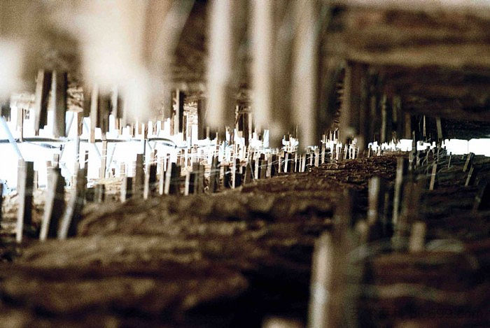 1492 n°I 1492 n°I (2012),伊瑟尔特·拉博特
