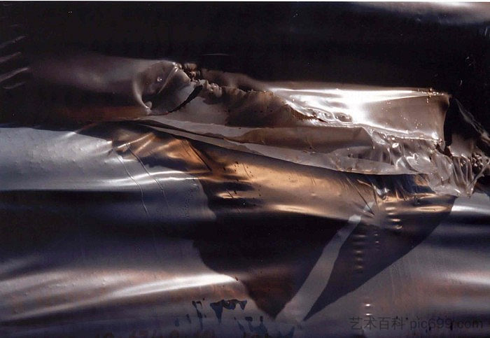没有标题 n°II Sans Titre n°II (2002),伊瑟尔特·拉博特