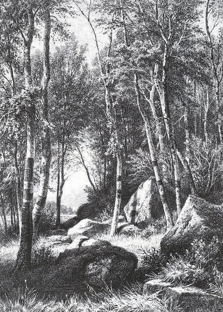 在一片白桦林的边缘。瓦拉姆 At the edge of a birch grove. Valaam (1859 - 1860)，伊万·希什金