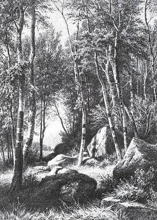 在一片白桦林的边缘。瓦拉姆 At the edge of a birch grove. Valaam (1859 – 1860)，伊万·希什金