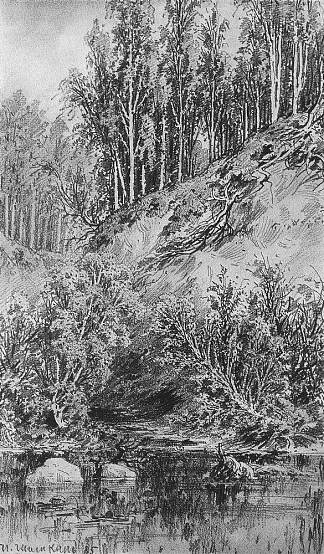 溪流银行 Bank of the stream (1885)，伊万·希什金