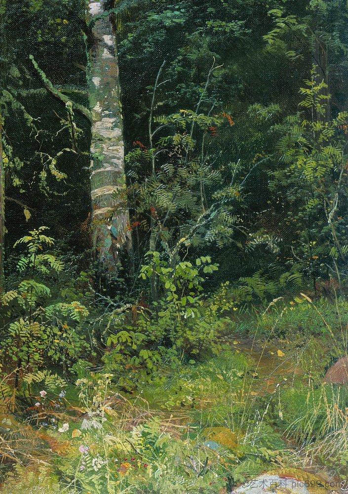 桦木和罗文 Birch and rowan (1878)，伊万·希什金