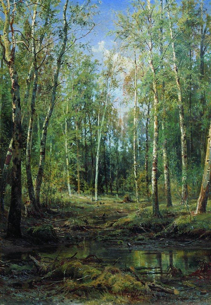 白桦树林 Birch Grove (1875)，伊万·希什金