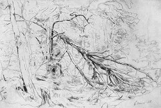 破碎的桦树 Broken Birch (1872)，伊万·希什金