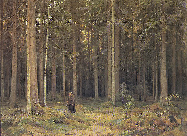 莫德维诺夫伯爵夫人的森林 Countess Mordvinov's Forest (1891)，伊万·希什金