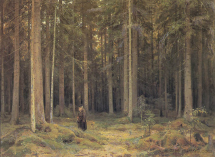 莫德维诺夫伯爵夫人的森林 Countess Mordvinov's Forest (1891)，伊万·希什金