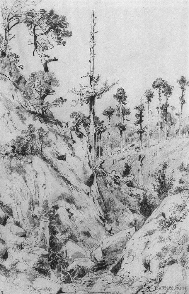 克里米亚观点。雅尔塔附近 Crimean view. Near Yalta (1879)，伊万·希什金