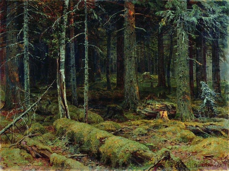 黑暗森林 Dark Forest (1890)，伊万·希什金