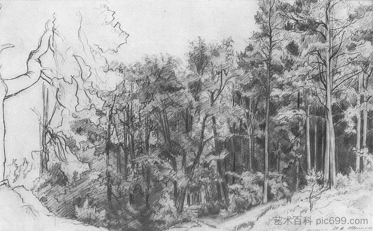 落叶林 Deciduous Forest (1873)，伊万·希什金