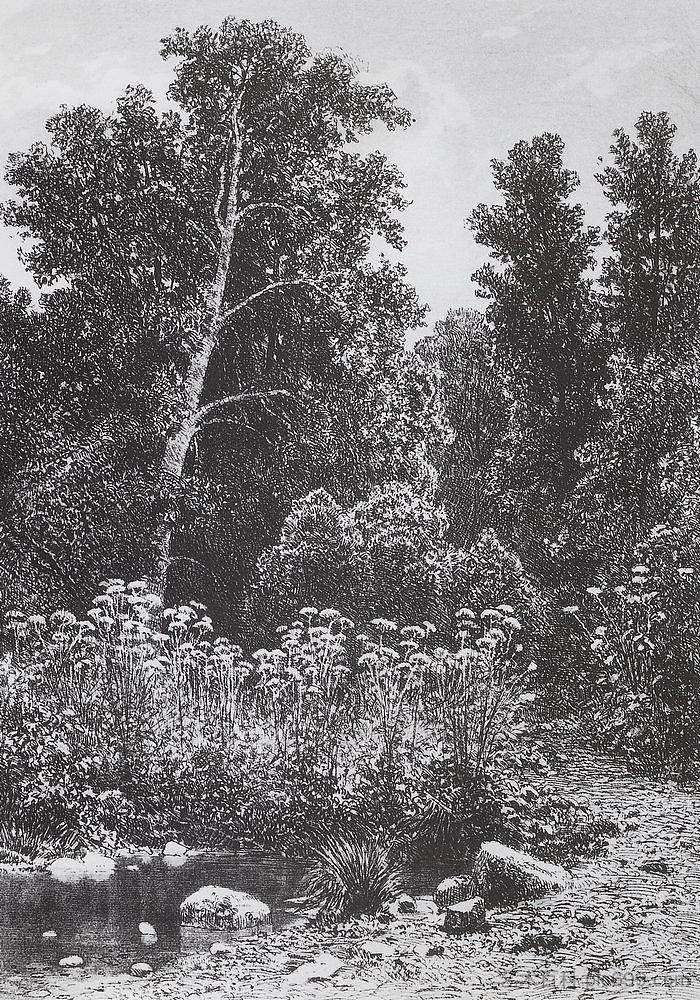 森林边缘 Edge of the Forest (1885),伊万·希什金